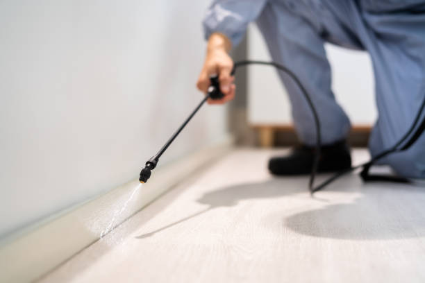 Bed Bug Pre-Treatment Preparation Assessment in Murray