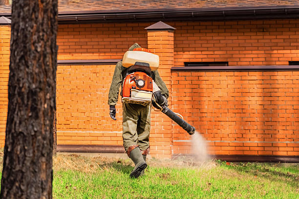 Bed Bug Clearance Verification and Documentation in Murray